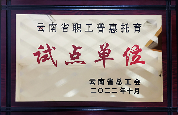 小圖”云南省職工普惠托育試點單位“榮譽(yù)獎牌.jpg
